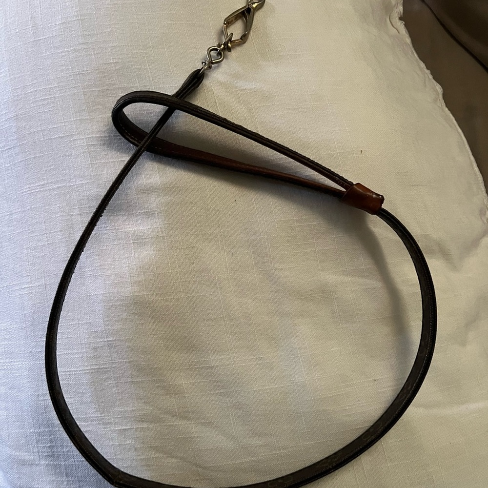 Louis Vuitton Dog Leash